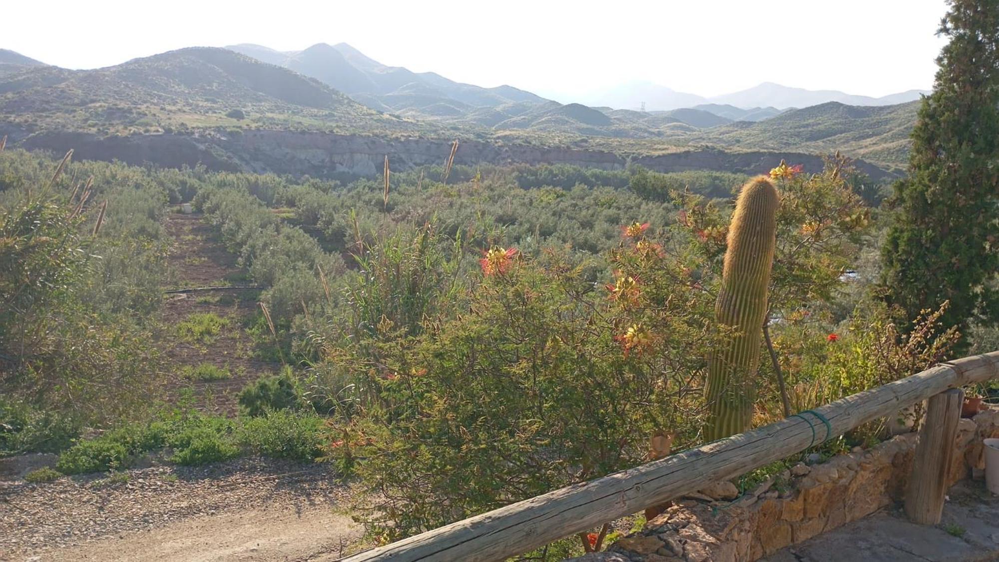 Cortijo Rural Molino El Tarahal Con Piscina Y Zonas Compartidas Zewnętrze zdjęcie